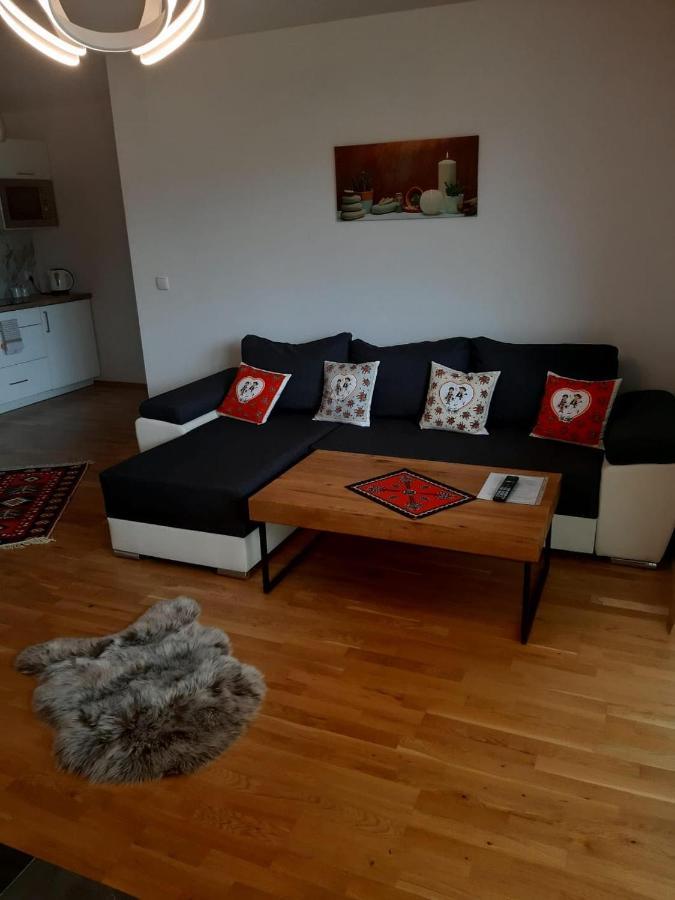 Apartamenty Z Widokiem Zakopane Exterior photo